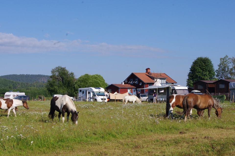 Sun Dance Ranch Bed and Breakfast Ekshärad Esterno foto